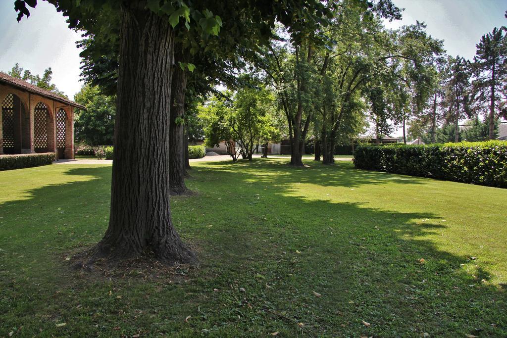 Tenuta Ajrale Vigone Kültér fotó