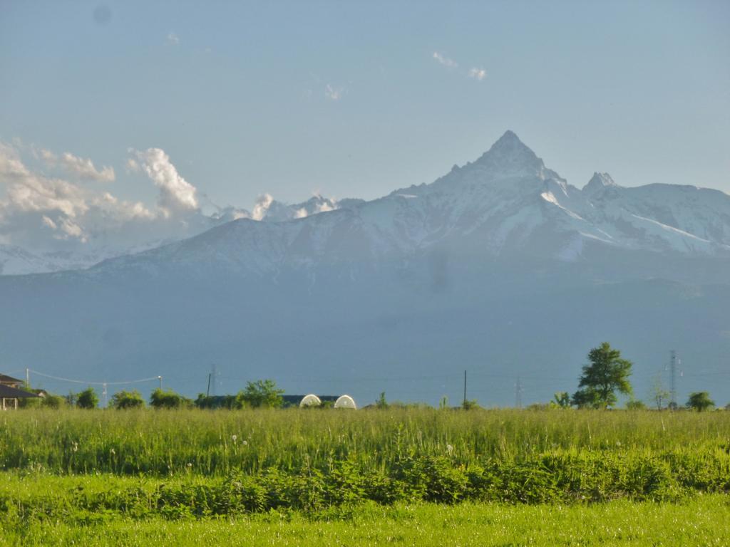 Tenuta Ajrale Vigone Kültér fotó
