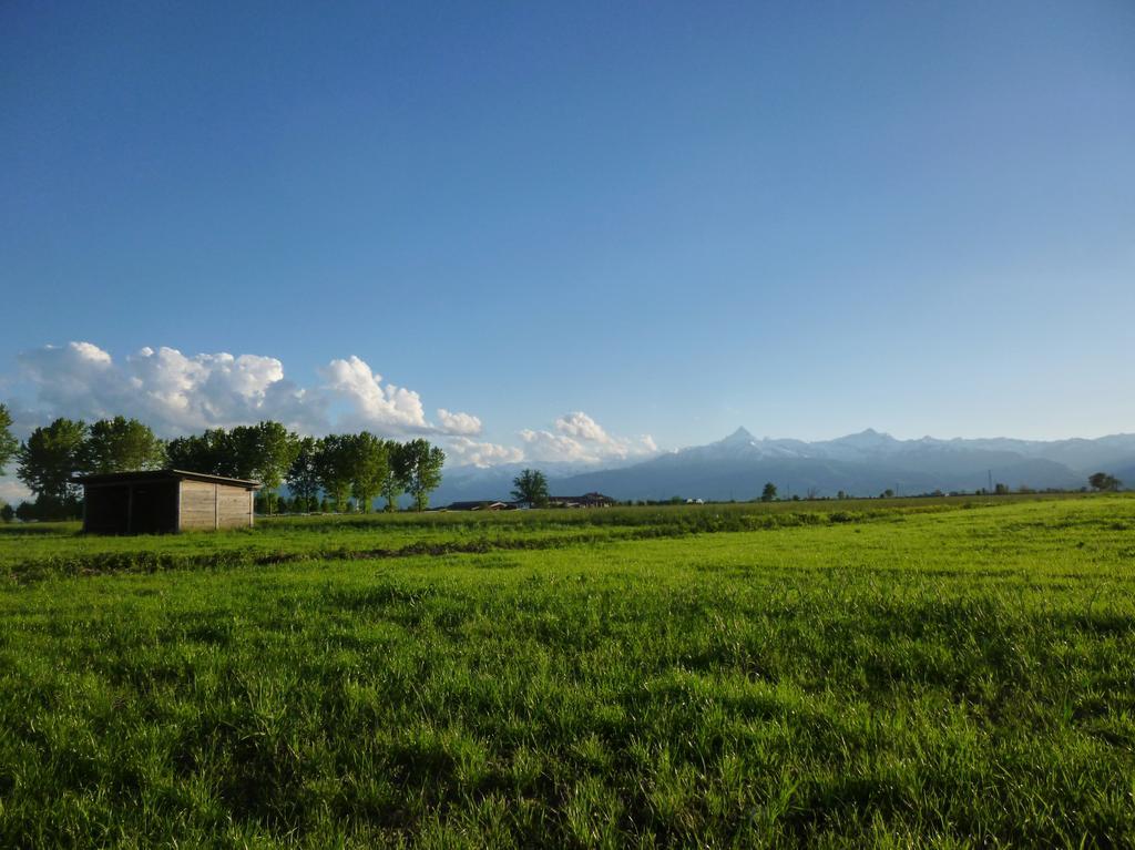 Tenuta Ajrale Vigone Kültér fotó