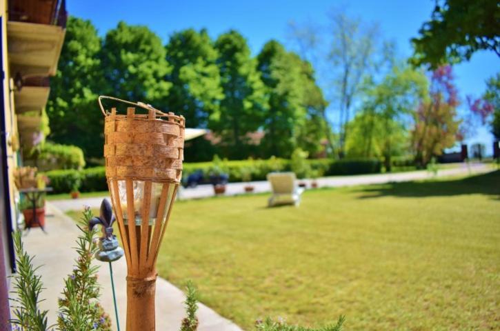 Tenuta Ajrale Vigone Kültér fotó